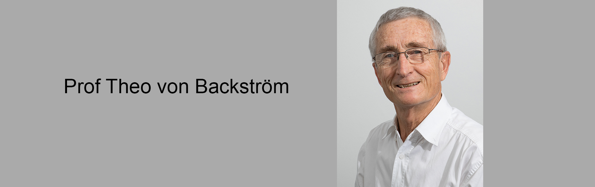 Prof Theo von Backstrom