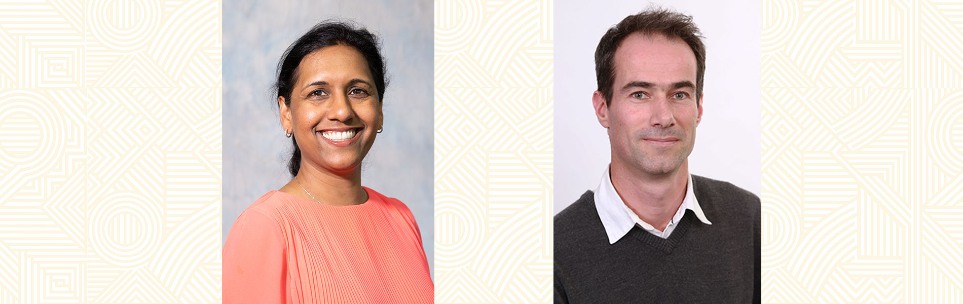 Engineering professors appointed in SARChI Research Chairs Engineering professors appointed in SARChI Research Chairs