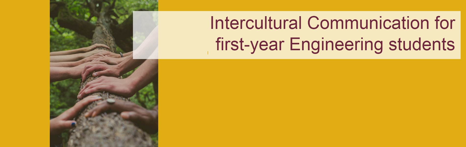 Intercultural Communication 113
